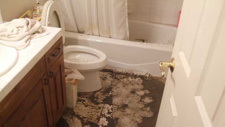 TW9, LLC - Sewage Cleanup