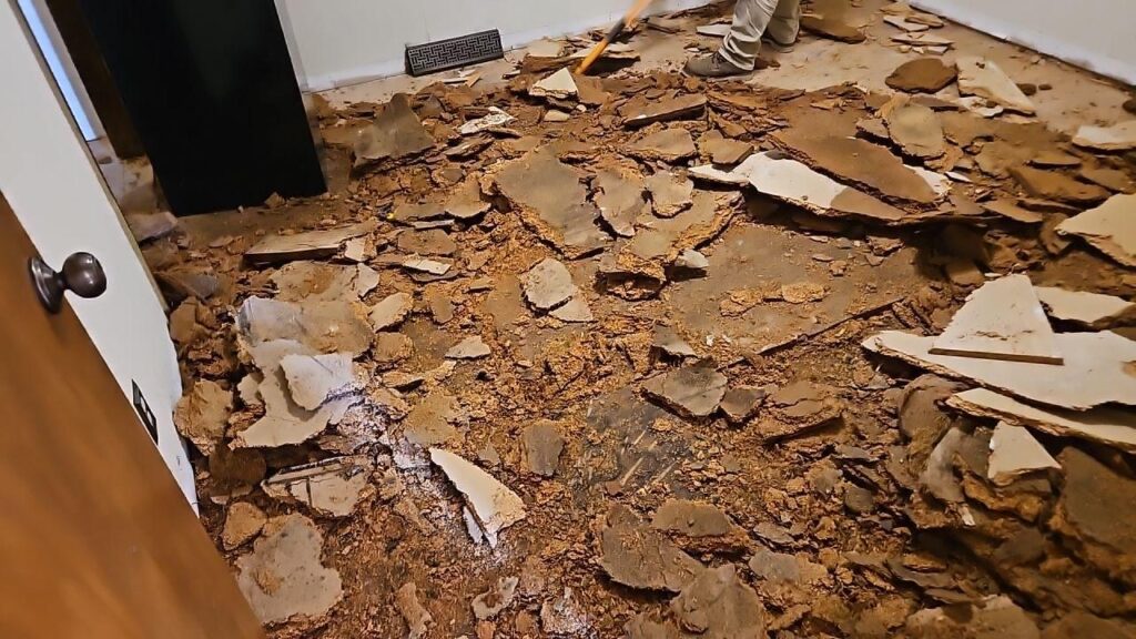 TW9 LLC - Water Damage Remediation