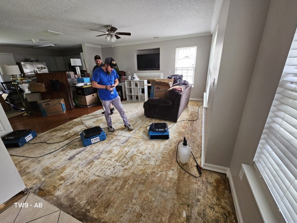 TW9 LLC - Mitigation